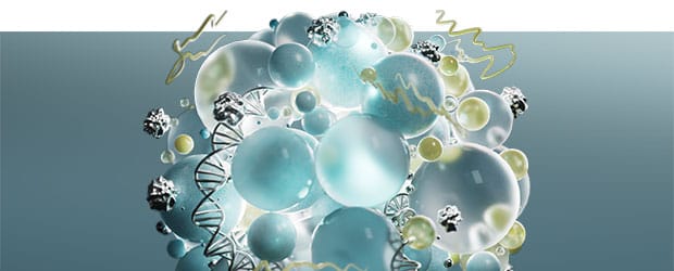 Eksozomlar: bu çığır açan içerik cilt yenilenmesini nasıl destekler